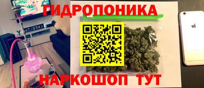 эйфоретик Гусь-Хрустальный