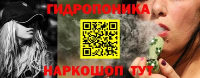 эйфоретик Гусь-Хрустальный