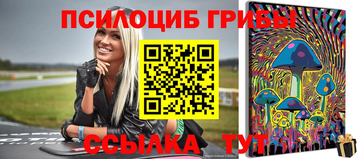Можга  Галлюциногенные грибы Psilocybe  Вход с VPN 